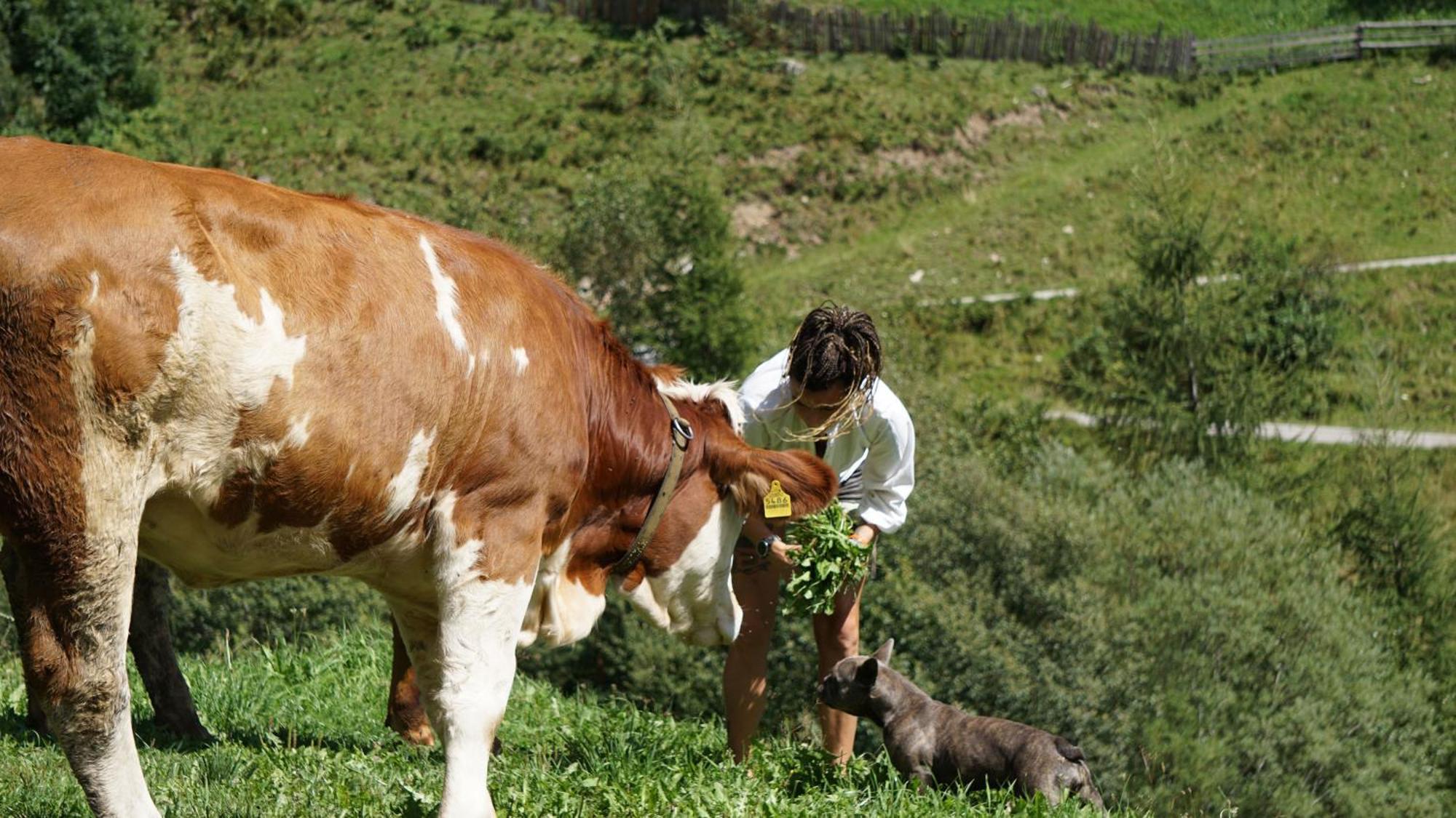 Alpegger Villa Terento Dış mekan fotoğraf
